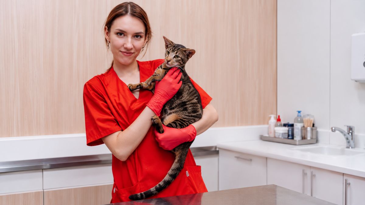 Ветеринарные услуги