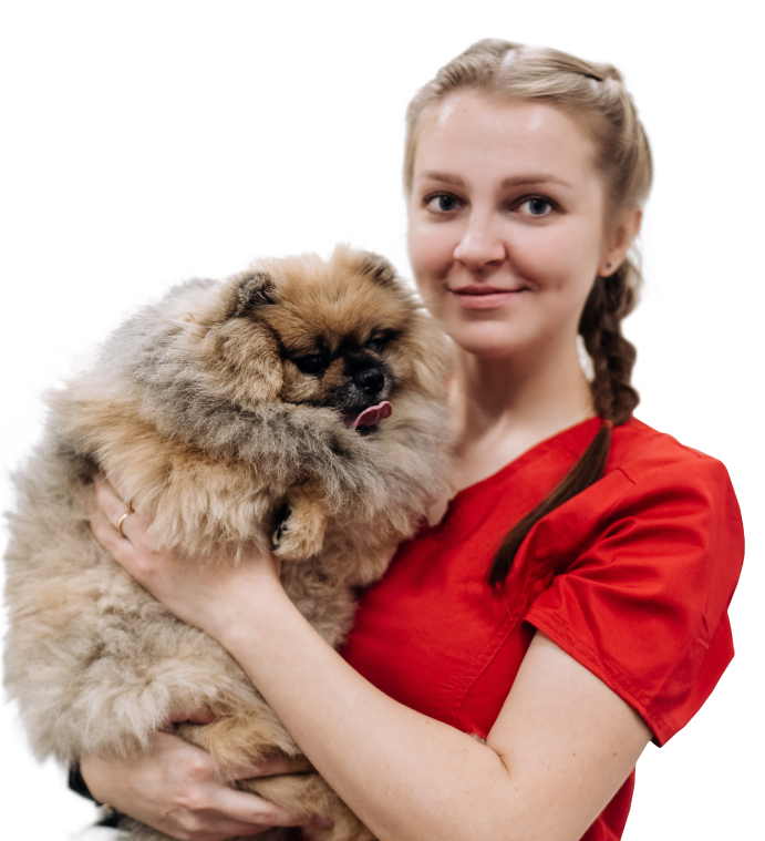 https://zoomed67.ru/wp-content/uploads/2026/09/steps.png